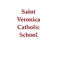 StVeronicaSchool svs stveronicaschool Sticker