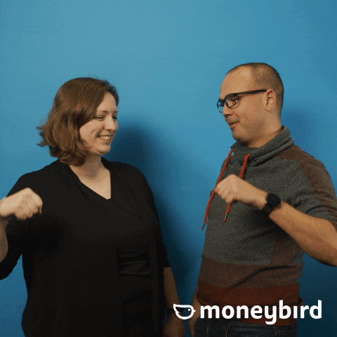 Moneybird giphyupload moneybird GIF