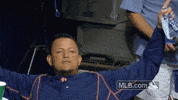 Major League Baseball Reaction GIF by Detroit Tigers