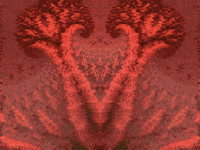 GIF by Leo Pyrata