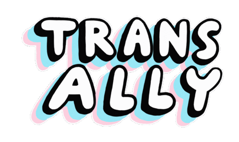 Trans Day Of Visibility Pride Sticker by Fox Fisher