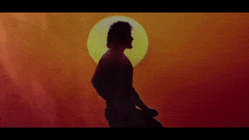 Globetrotter Priyankachopra GIF