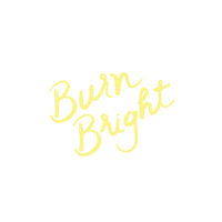 daileymethoddc workout burn barre tdm Sticker