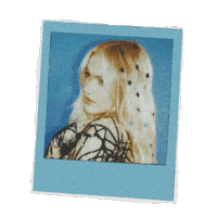 Polaroid Stardust Sticker by Freya Skye