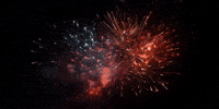 Celebrate Happy New Year GIF by Brzzy