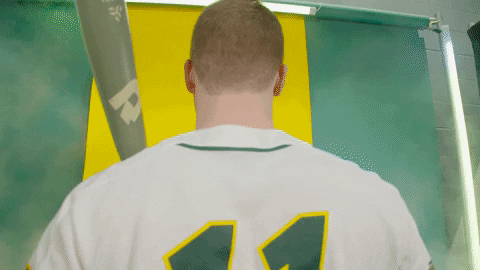 Anderson GIF by NDSU Athletics