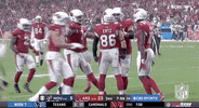 Arizona Cardinals Football GIF by NFL