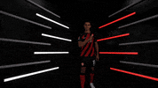 Germany Football GIF by Bundesliga