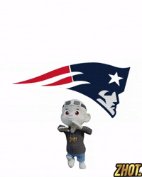New England Patriots GIF by Zhot