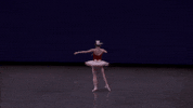 megan fairchild ballerina GIF by New York City Ballet