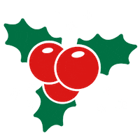 Natal Guarana Sticker by Guaraná Antarctica