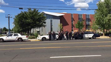 Black Lives Matter Protesters Arrested in Portland on Anniversary of Michael Brown's Death