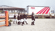 Palibex horse deporte transporte pale GIF