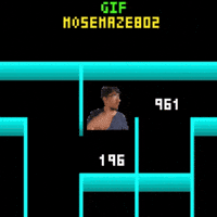 Maze 802 Mose GIF