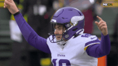 Skolvikings GIF by Minnesota Vikings