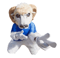 MasseyUni cool university mascot sheep Sticker