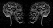 Black And White Loop GIF by A. L. Crego