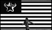 Aafb GIF by DUCKWRTH