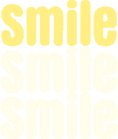 Belgium Smiles Sticker by Smile Kombucha