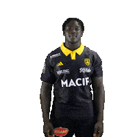 Rugby Larochelle Sticker by Stade Rochelais