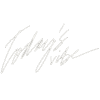 Today Vibe Sticker
