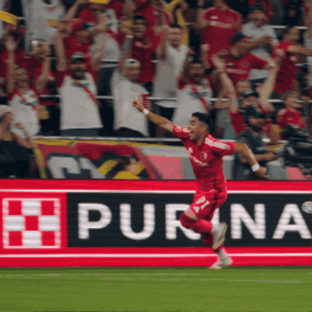 St Louis Celebration GIF by St. Louis CITY SC