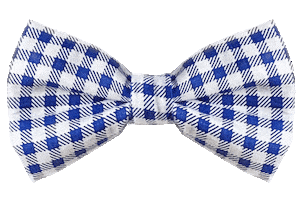 Dog Bow Tie Sticker by Paws Of Kow