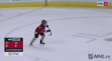 Celebrate Ice Hockey GIF by NHL