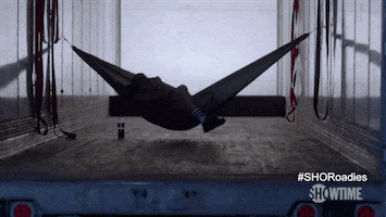 season 1 summer GIF by Showtime