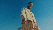 I Like You A Happier Song GIF by Post Malone