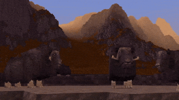A Bunch Of Buffalo! 