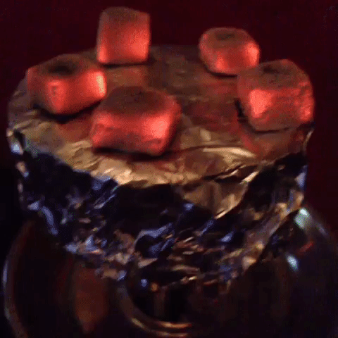 GIF by andymilonakis