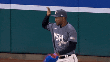 Well Done Good Job GIF by MLB