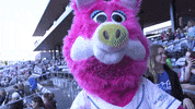StPaulSaints baseball mascot st paul saints fun is good GIF