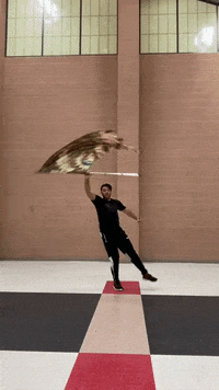 thatguywhospins  GIF