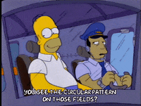 Flying Season 4 GIF by The Simpsons