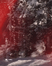 Snow Cars GIF by FIA World Rally Championship
