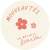 Nouveaute Sticker by La Belle Boucle