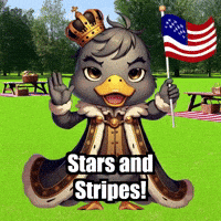 4Th Of July Picnic GIF by sirduckbeth