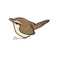 Firuo_drawingbirds bird 鳥 warbler 樹鶯 Sticker