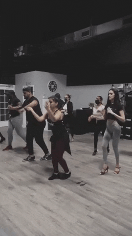 bailamedancefestival giphyupload GIF