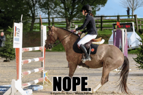 Equestrian_News giphygifmaker fail horse jumping GIF