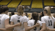 tribeathletics wmtribe tribevolleyball wmvolleyball GIF