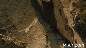 Film Festival Dance GIF by Magnolia Pictures