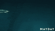 Film Festival Dance GIF by Magnolia Pictures