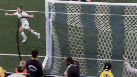 Usl Championship Soccer GIF by Charleston Battery