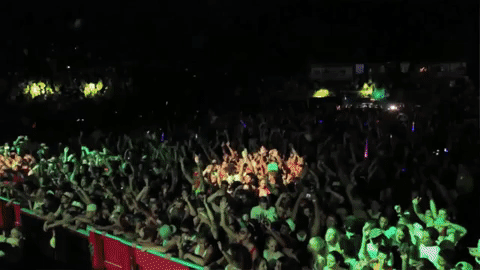 kjsawka giphygifmaker GIF
