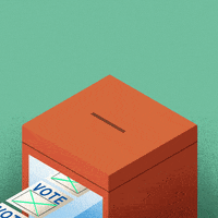 Elections GIF by Transparency International