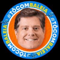 Politica Mdb GIF by MDBNacional