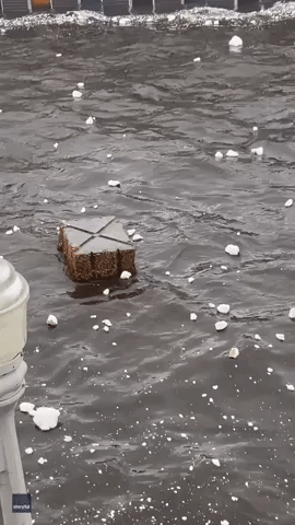 Debris Floats in Floodwater as Hurricane Ian Moves Over Fort Myers